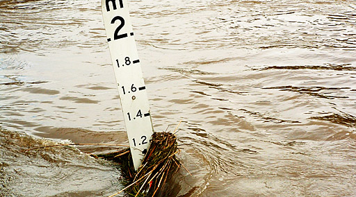 Flood surveys